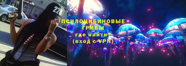 соль ск Каменногорск