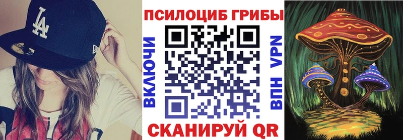 Галлюциногенные грибы Psilocybine cubensis  Купить где  Краснодар